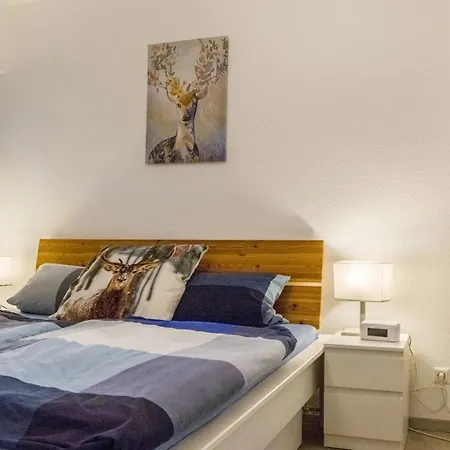 109 Schwarzwald 公寓 *