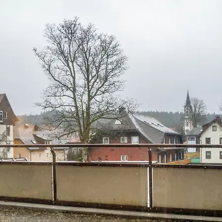 109 Schwarzwald 公寓